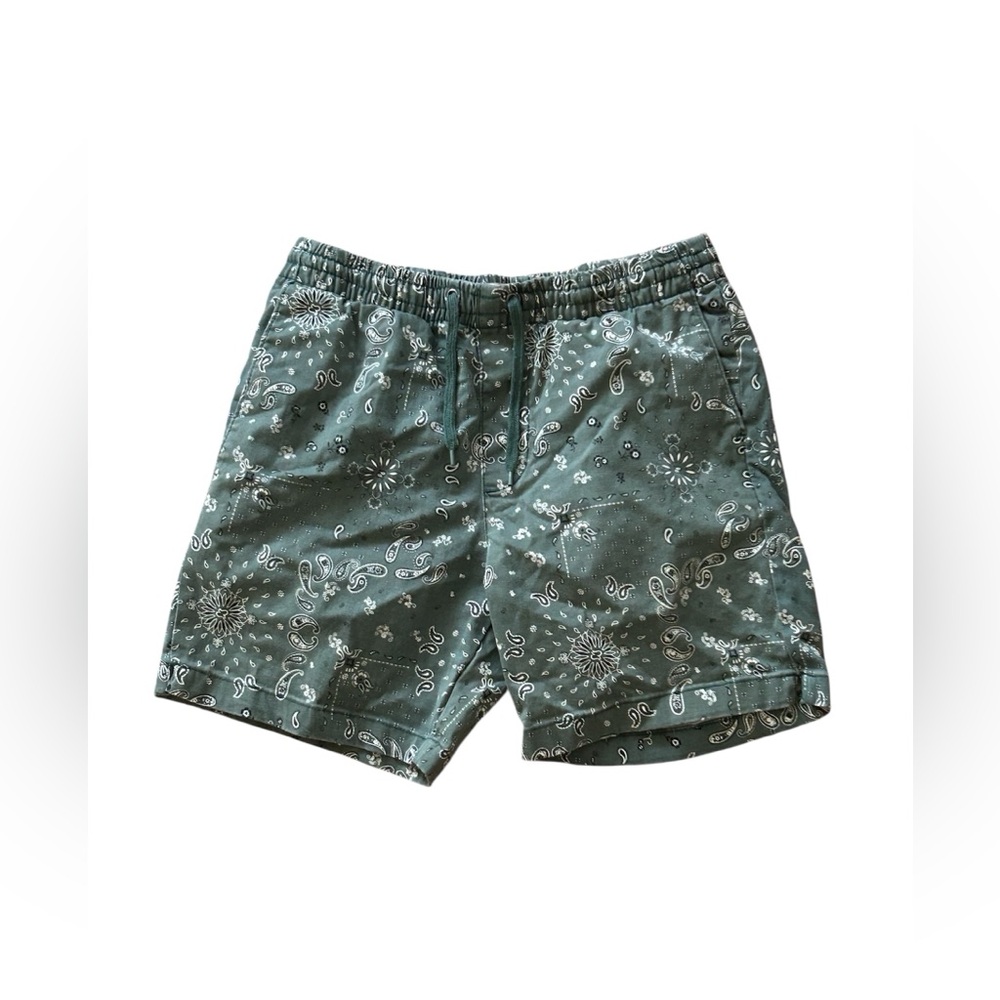 PacSun Green Reed Print Twill Volley Shorts Elastic Waist Casual